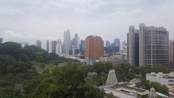 The Imperial (D9), Condominium #199453892
